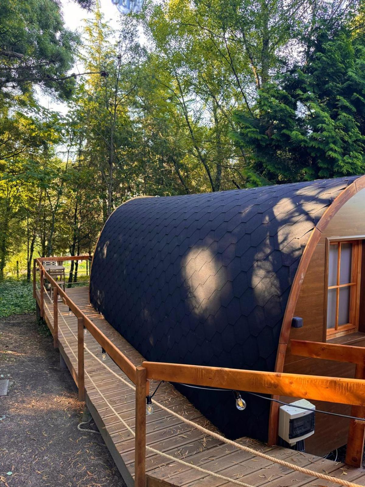 Glicinia Boutique Hotel Freamunde Zewnętrze zdjęcie