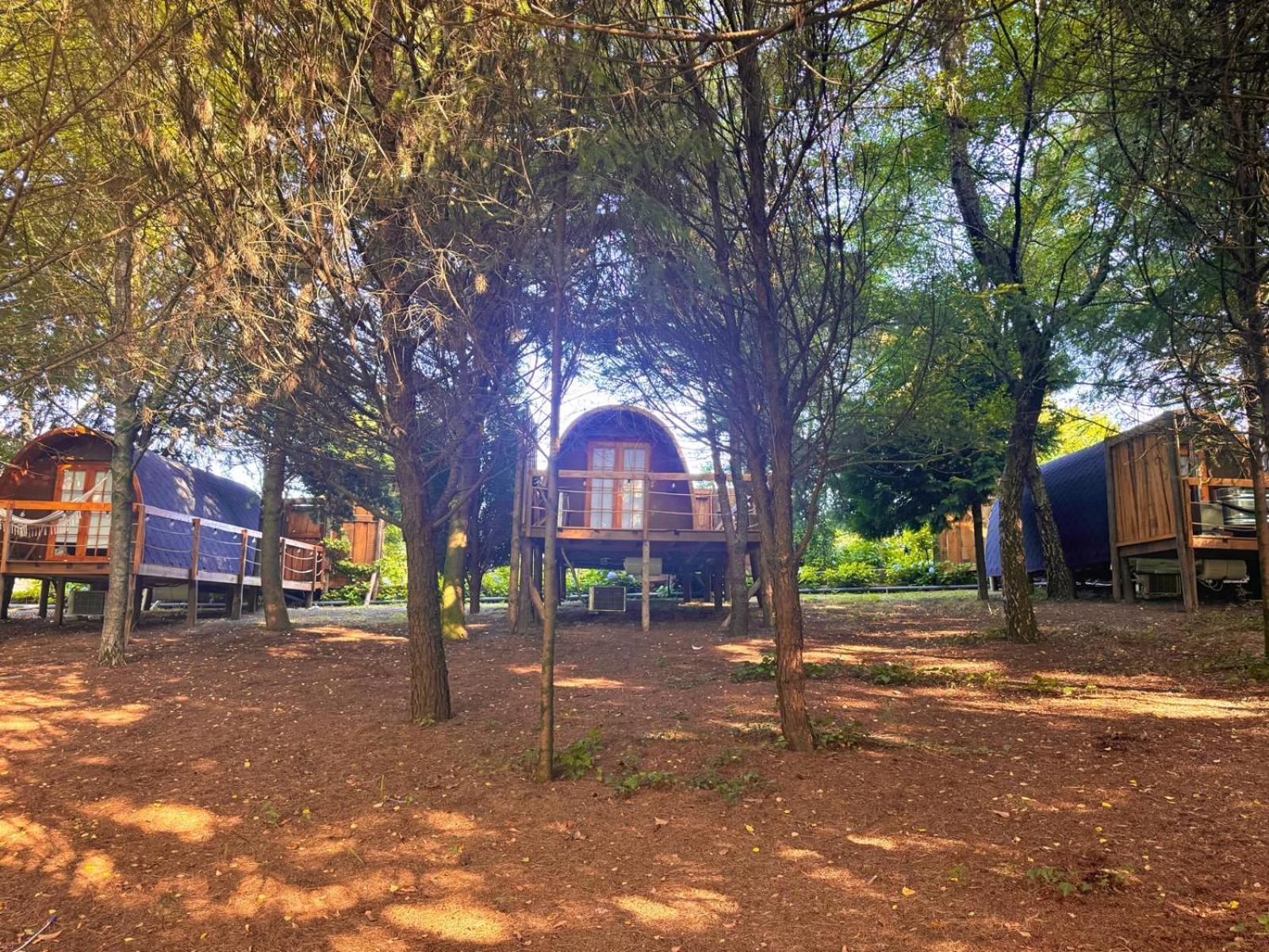 Glicinia Boutique Hotel Freamunde Zewnętrze zdjęcie
