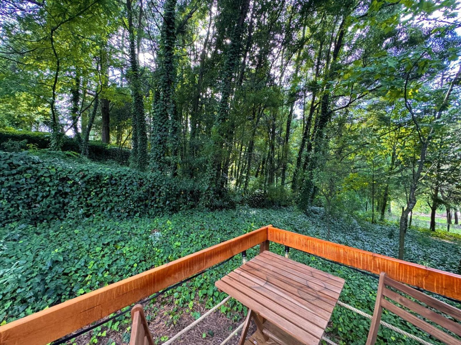 Glicinia Boutique Hotel Freamunde Zewnętrze zdjęcie
